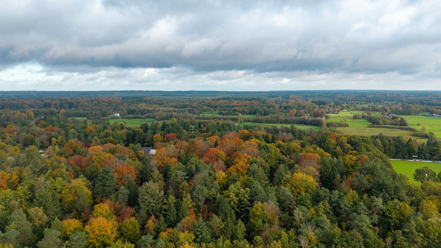 Photo 19 of Centrumweg 5-16