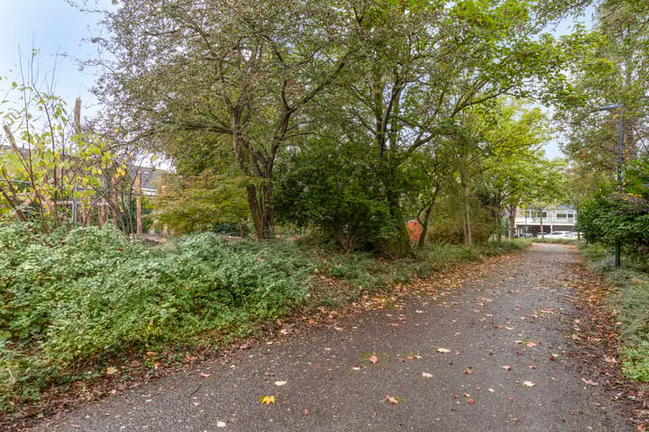 Foto 21 van Boogschutter 89