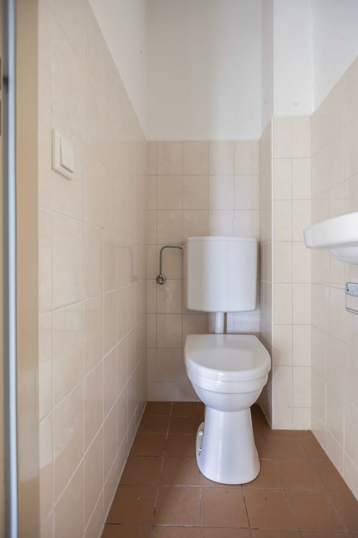 Foto 10 van Hoogmeer 2053