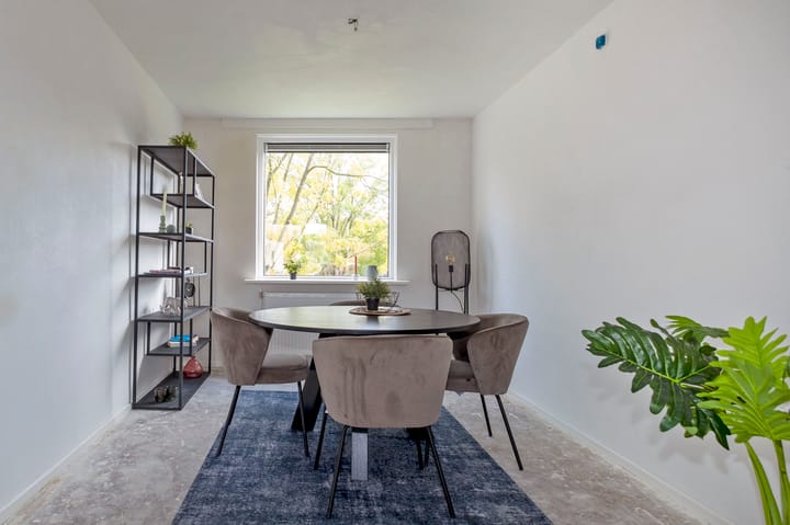 Foto 11 van Gerard Doustraat 3