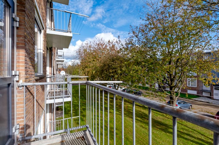 Foto 25 van Gerard Doustraat 3