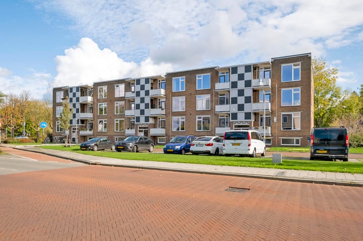 Foto 29 van Gerard Doustraat 3