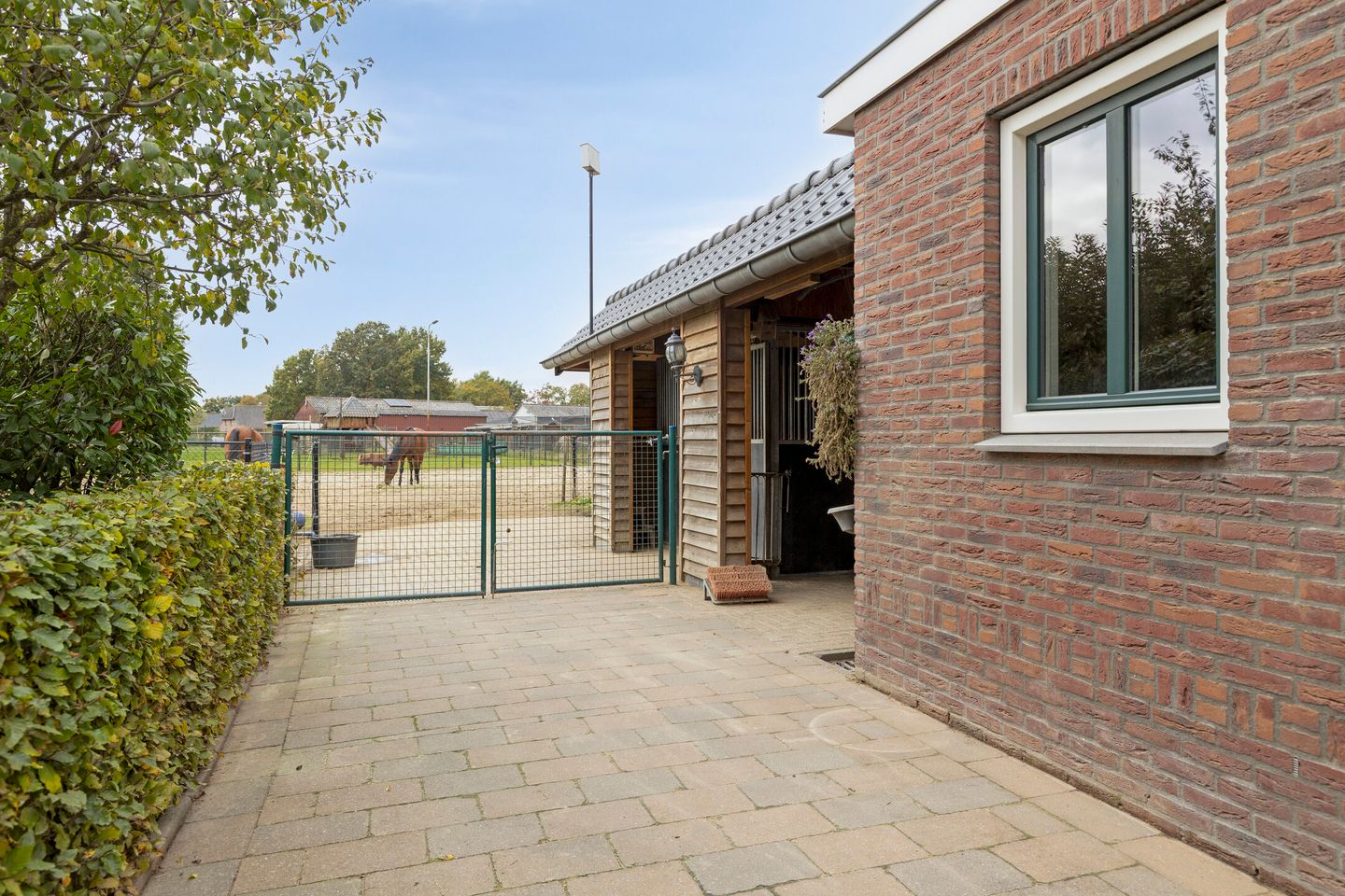 Foto 49 van Grensweg 5