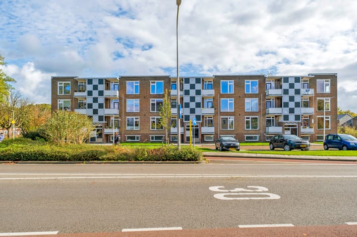 Foto 32 van Gerard Doustraat 3