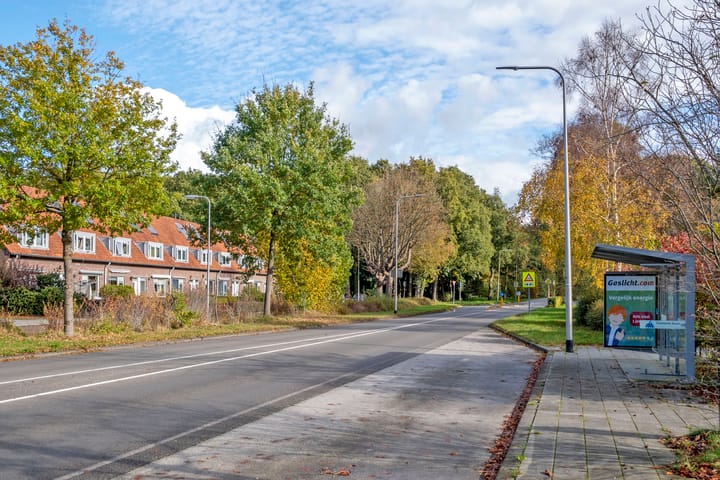 Foto 34 van Gerard Doustraat 3