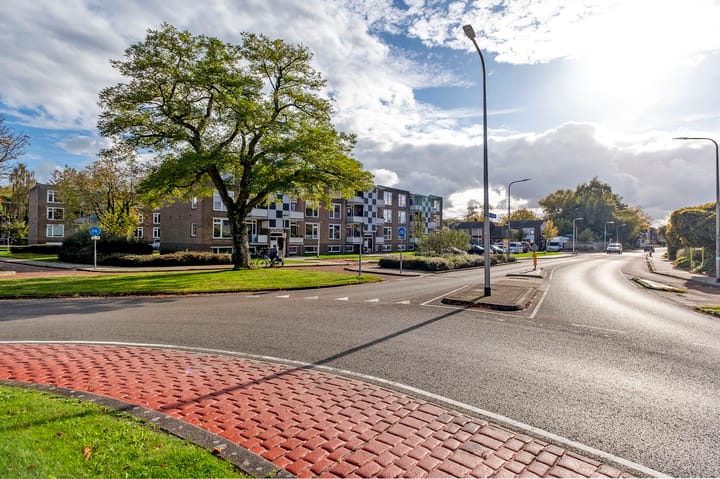 Foto 36 van Gerard Doustraat 3