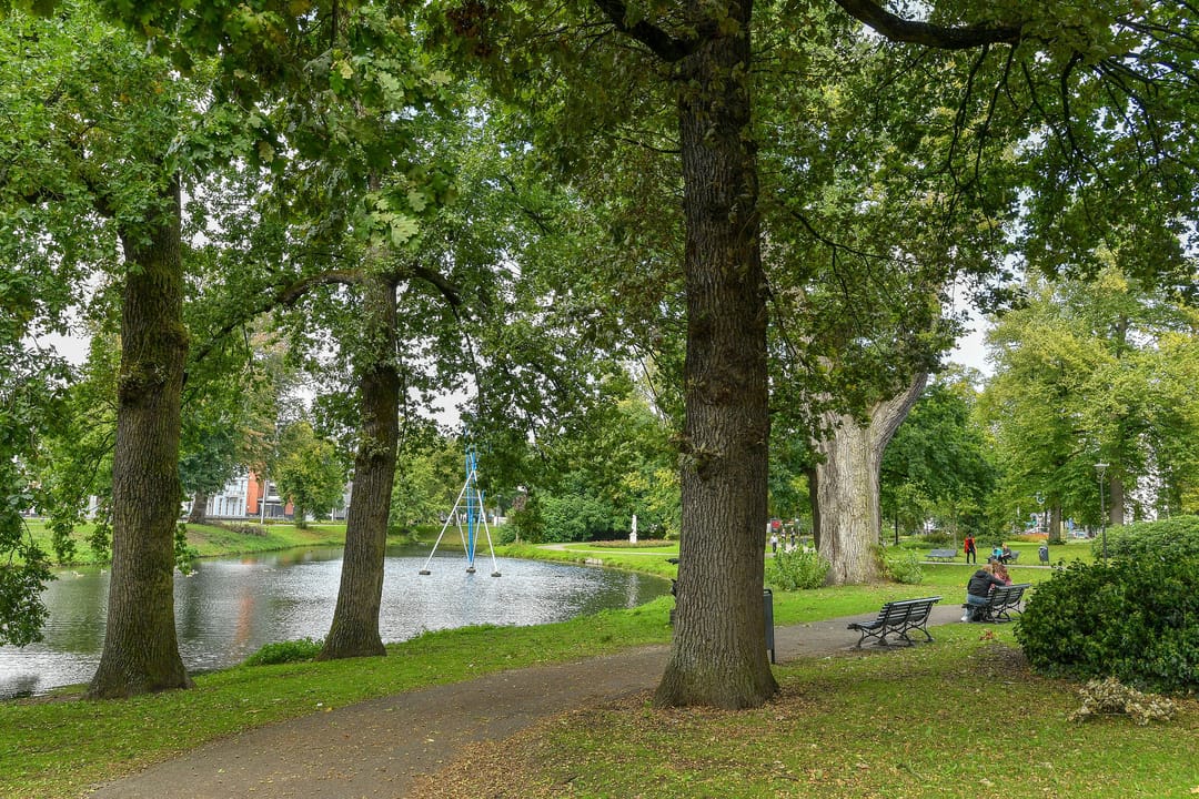 Photo 37 of Parkstraat 6-2