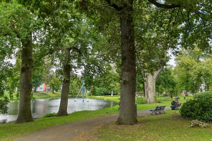 Photo 37 of Parkstraat 6-2