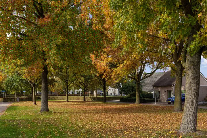 Foto 34 van Afrikalaan 6