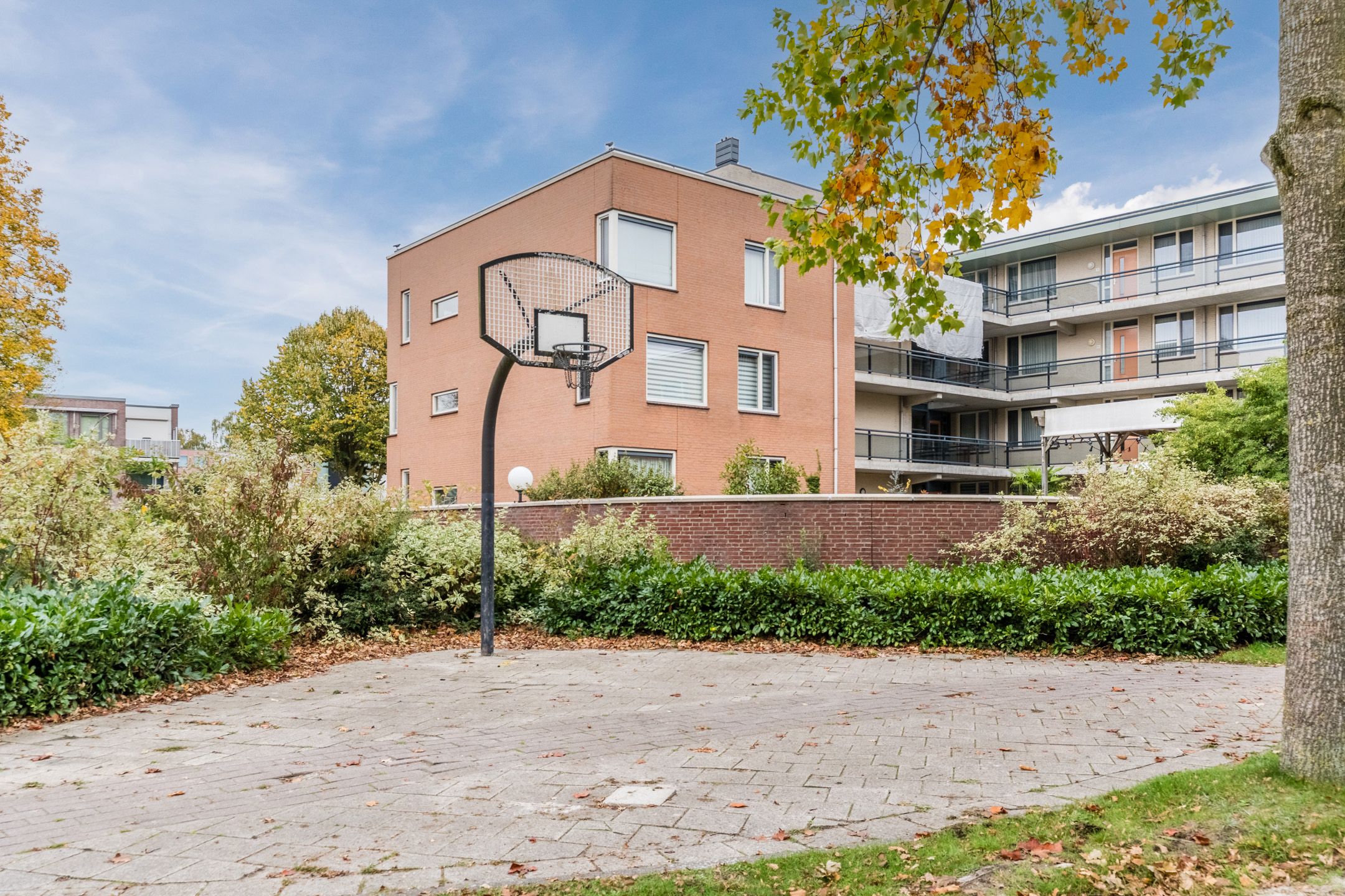 Photo 48 of Lange Mees 13