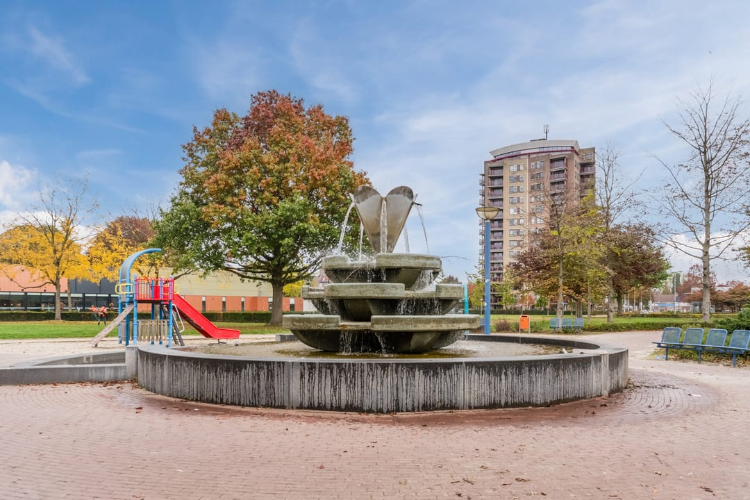 Photo 53 of Lange Mees 13