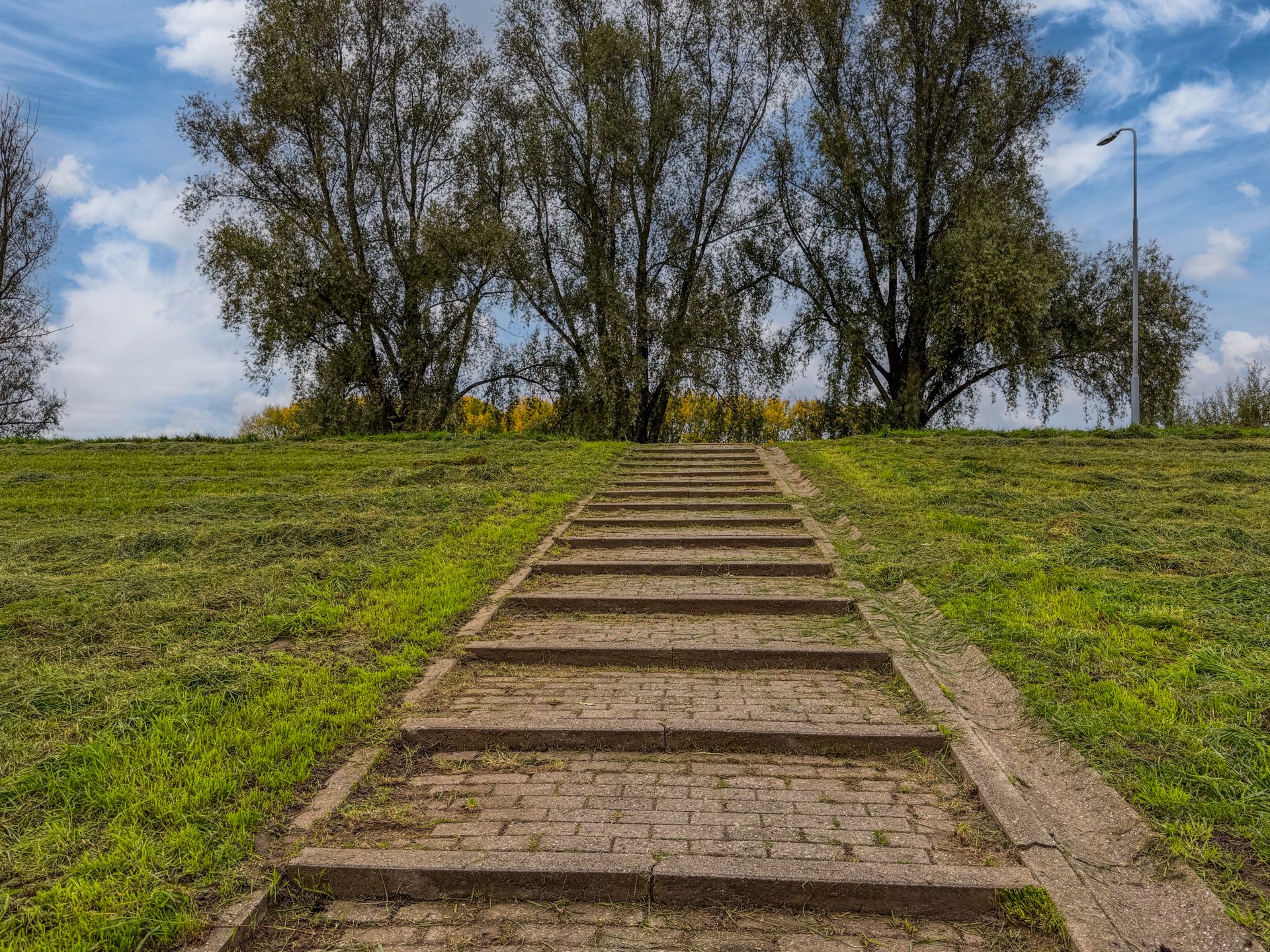 Foto 39 van Bongerd 20