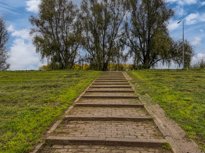 Foto 39 van Bongerd 20