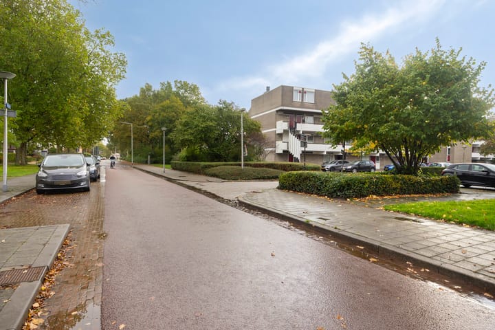 Foto 25 van Bosplaat 46