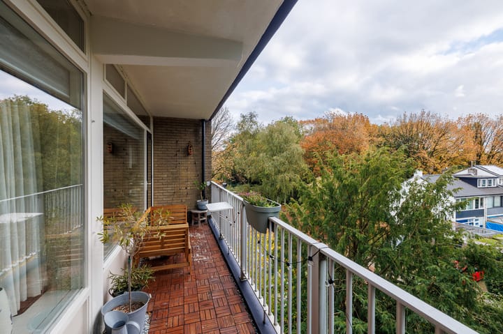 Foto 25 van Obrechtlaan 52