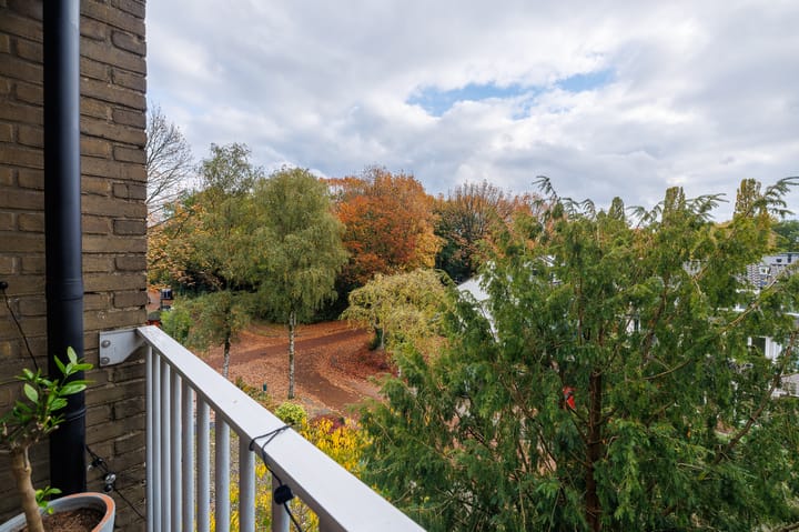 Foto 28 van Obrechtlaan 52