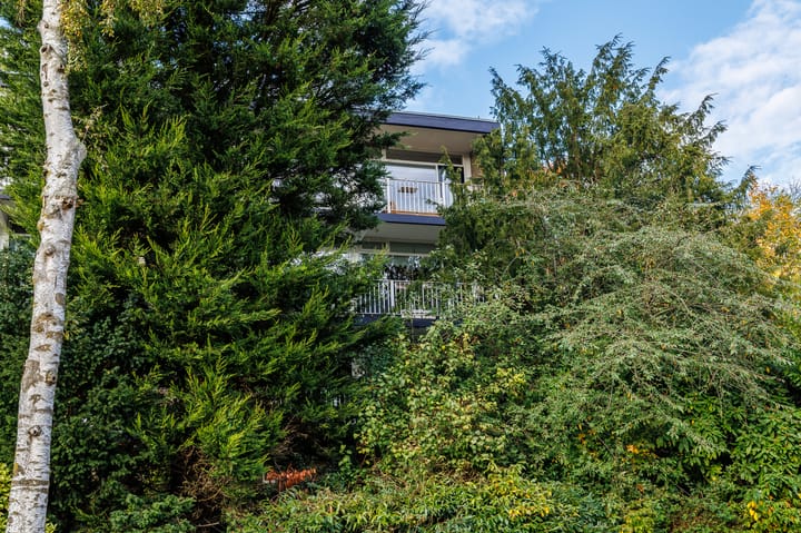 Foto 30 van Obrechtlaan 52