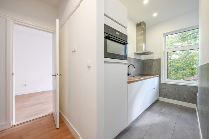 Foto 7 van Linnaeusstraat 239