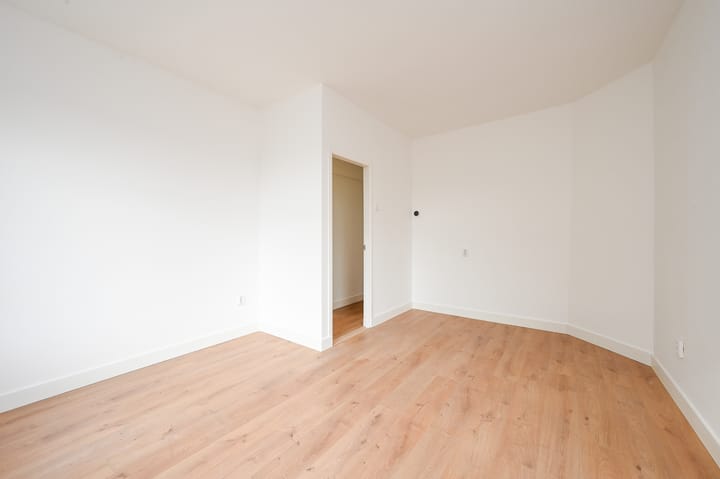 Foto 12 van Linnaeusstraat 239