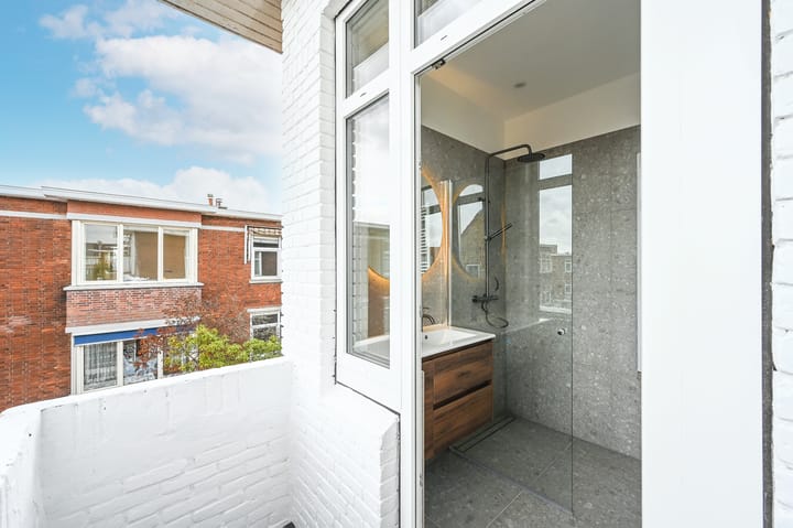 Foto 28 van Linnaeusstraat 239