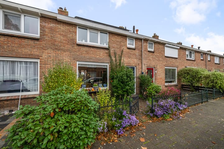 Frans Halsstraat 20 main image