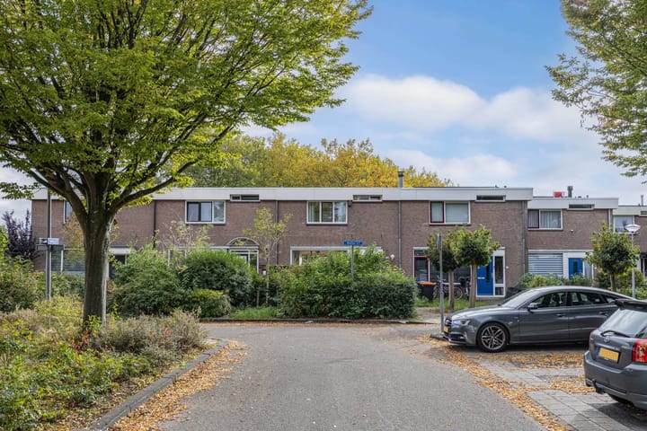 Foto 8 van Botter 27 5