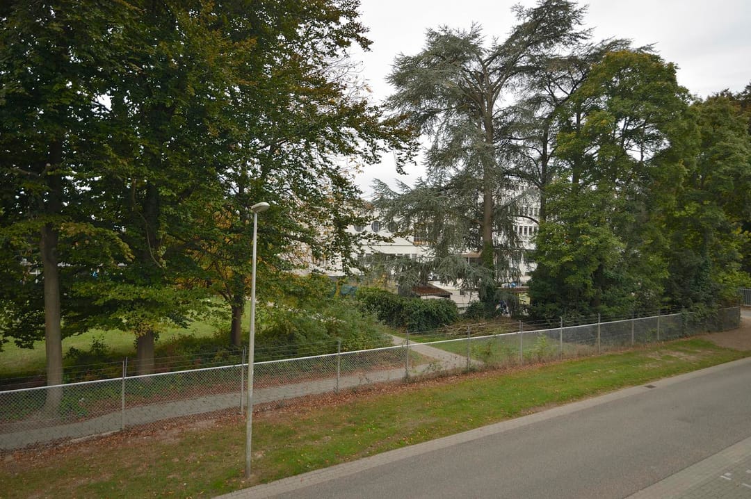 Foto 58 van Oliemolenstraat 83