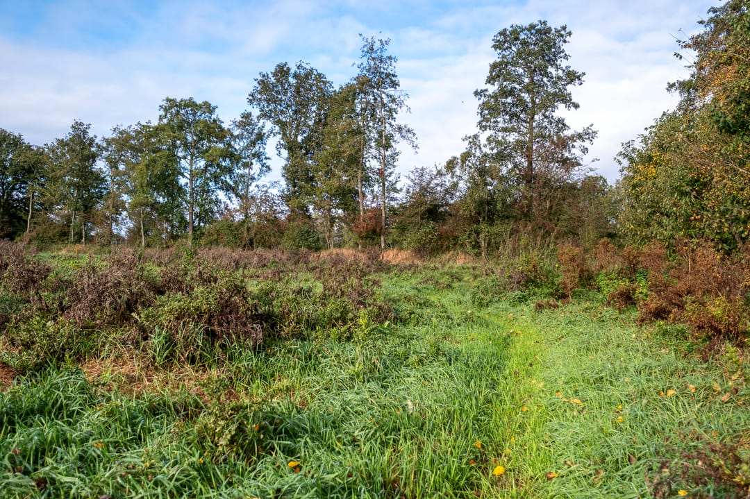 Foto 46 van Lievingerveld 900