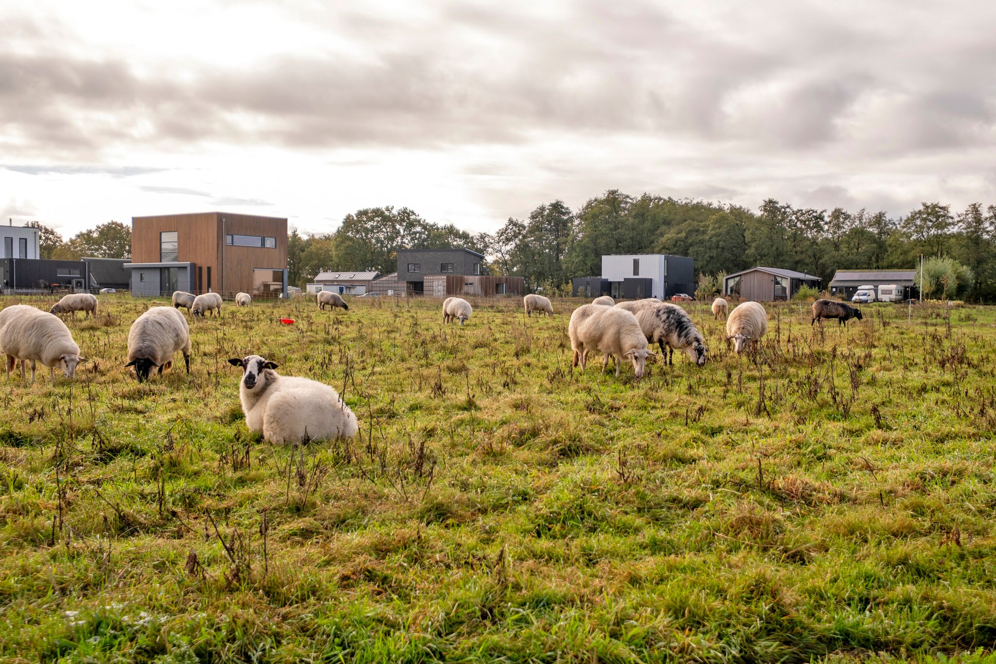 Foto 51 van Lievingerveld 900
