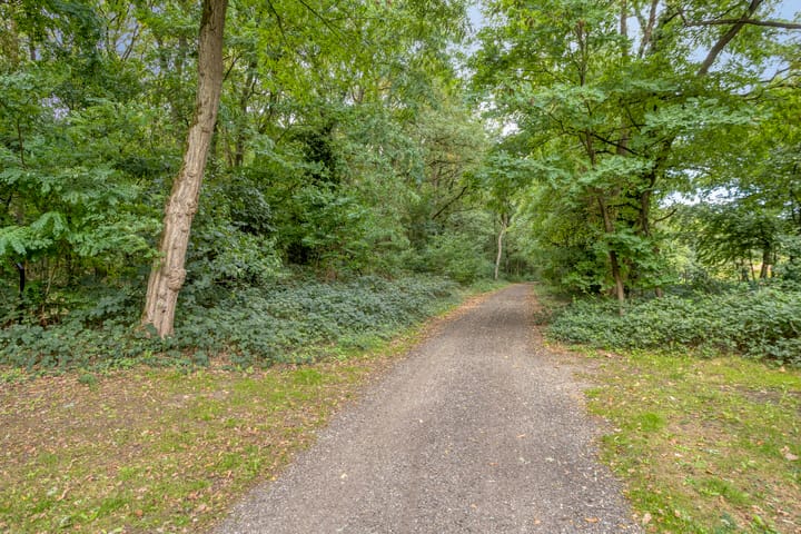 Photo 40 of Bosweg 28