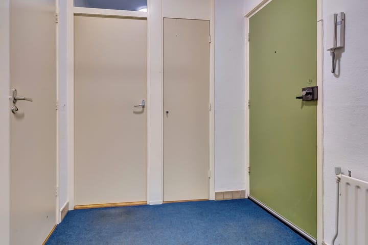 Foto 4 van Vogelplantsoen 99