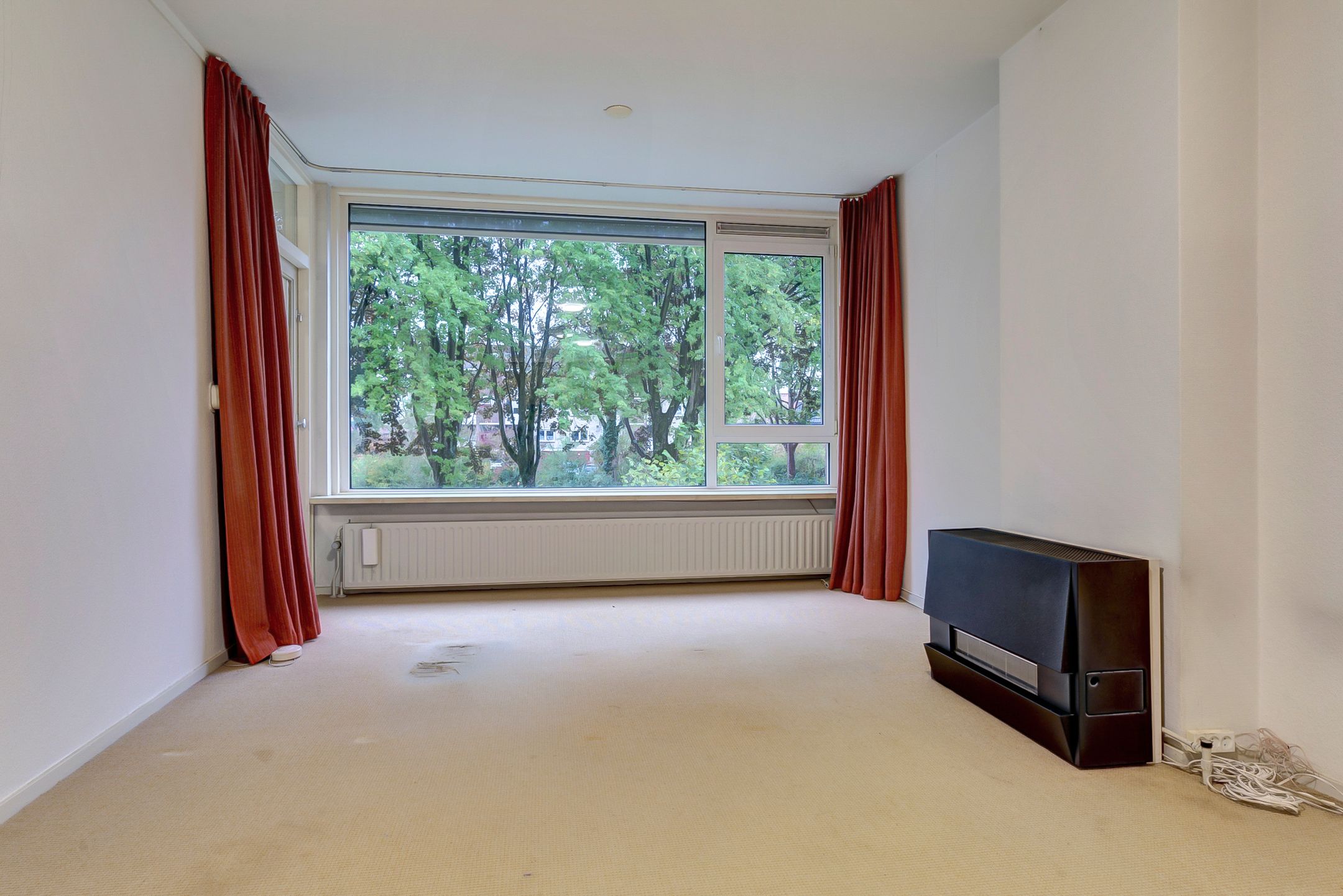 Foto 6 van Vogelplantsoen 99