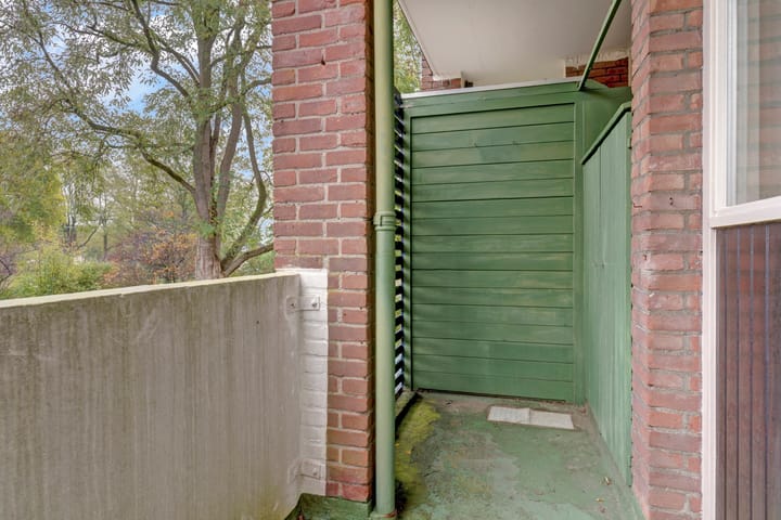 Foto 12 van Vogelplantsoen 99