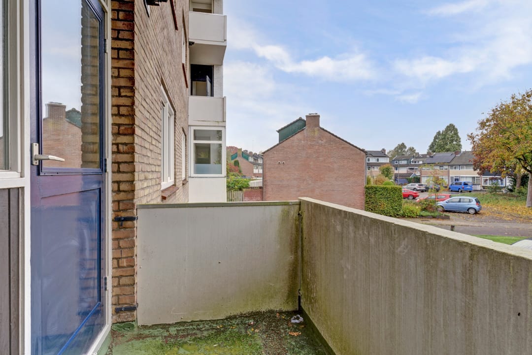 Foto 13 van Vogelplantsoen 99