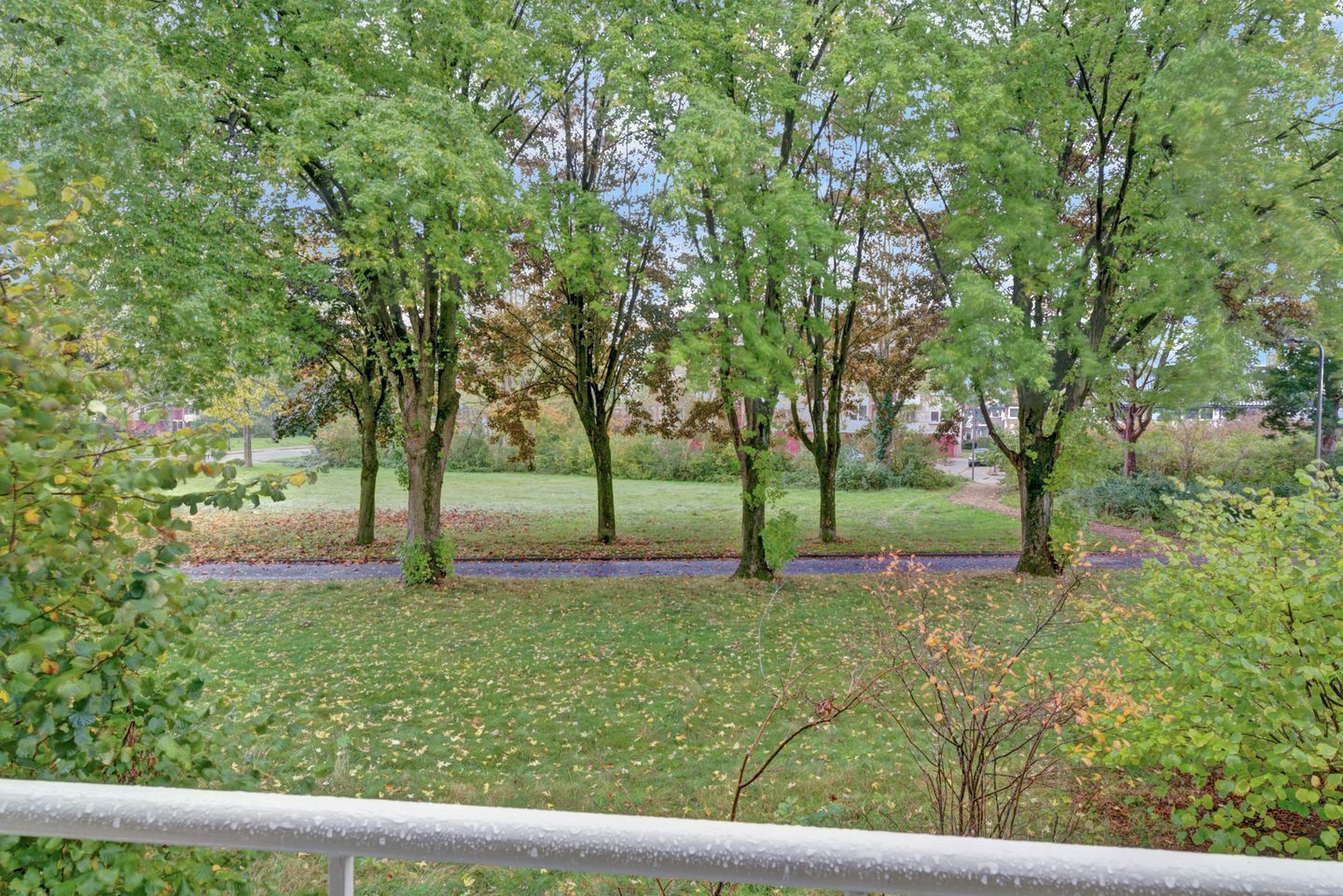 Foto 20 van Vogelplantsoen 99