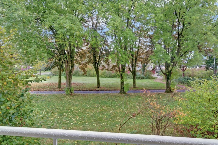 Foto 20 van Vogelplantsoen 99