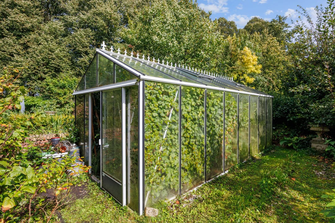 Foto 71 van Hereweg 8