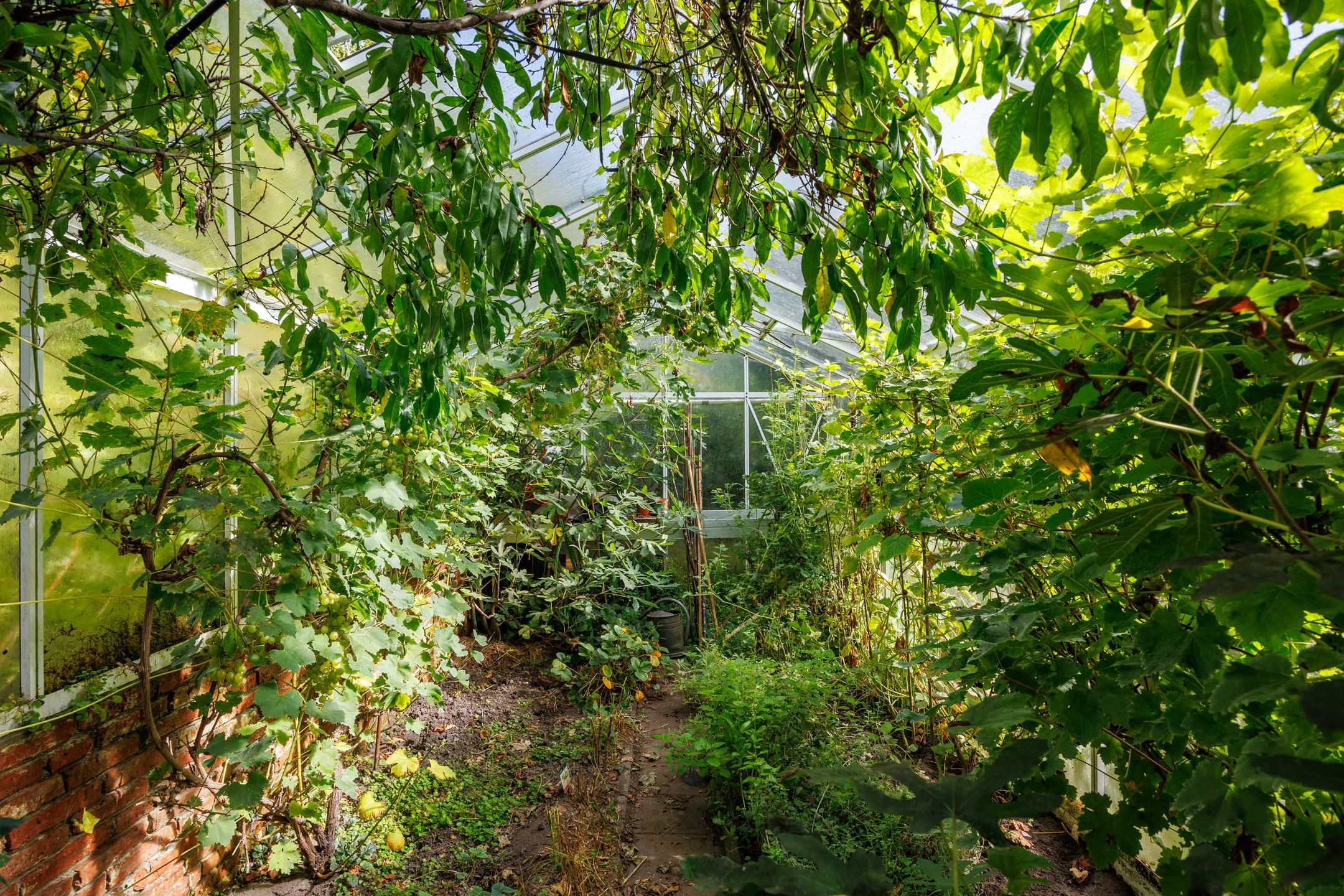 Foto 72 van Hereweg 8