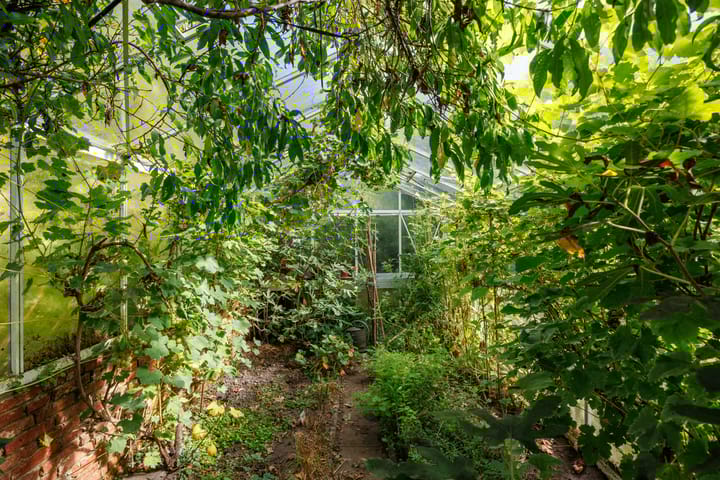 Photo 72 of Hereweg 8