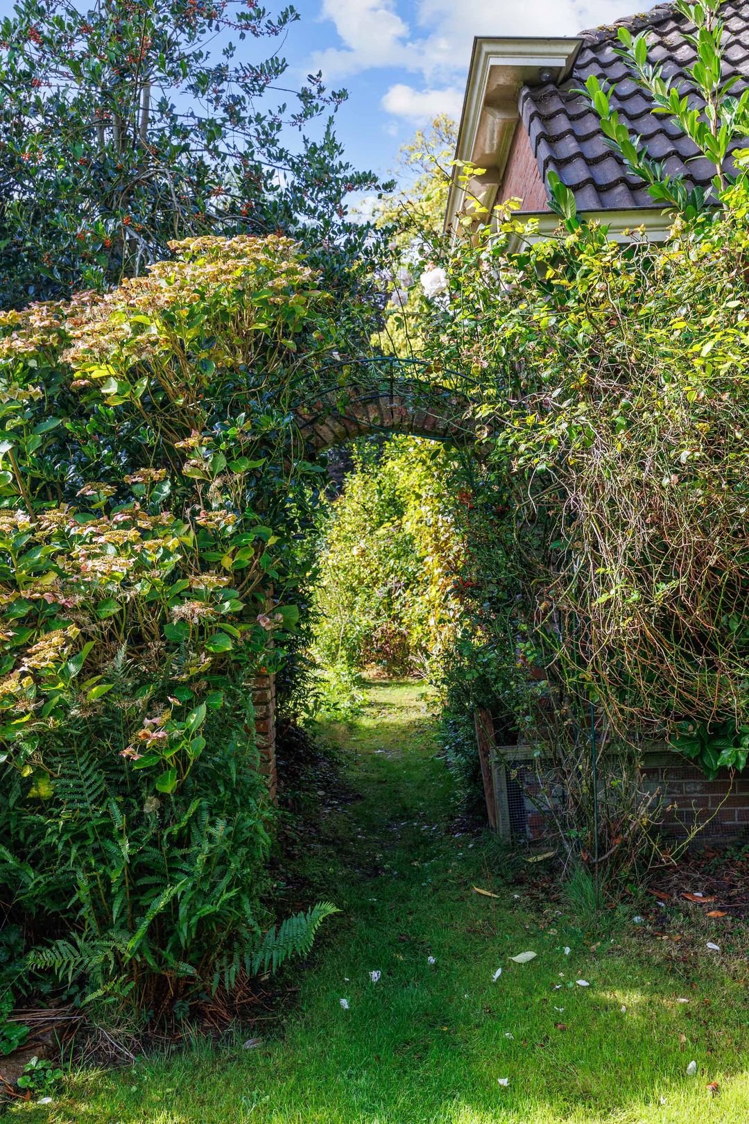 Foto 76 van Hereweg 8