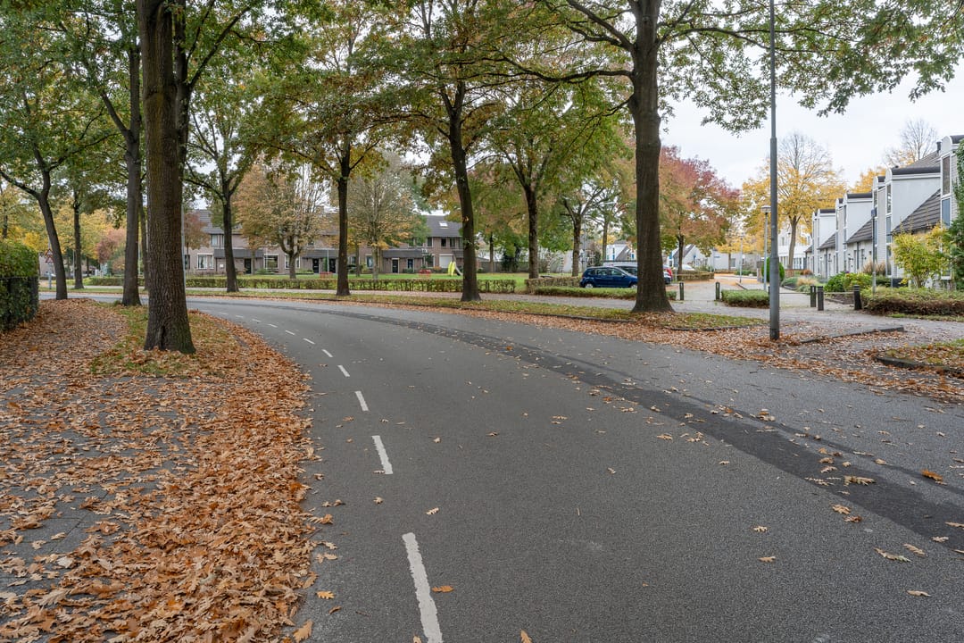 Photo 41 of Guido Gezellelaan 157