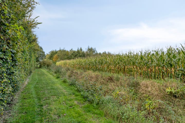 Foto 42 van Houtvester Jansenweg 2-81