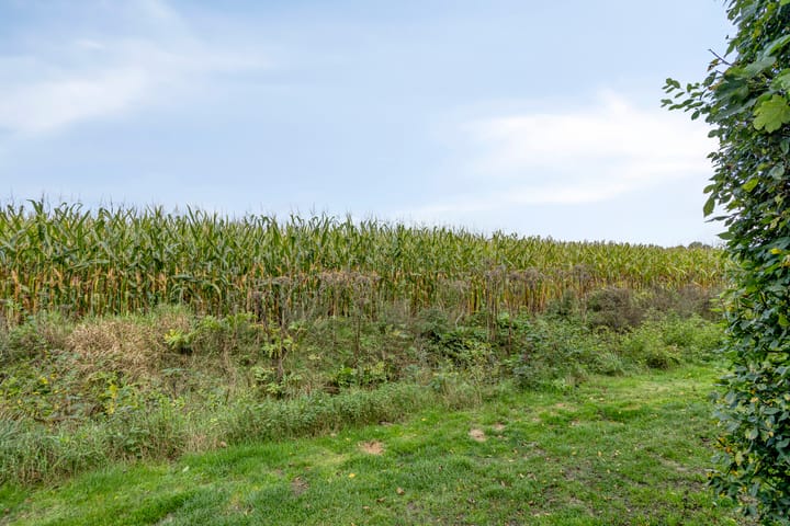 Foto 43 van Houtvester Jansenweg 2-81