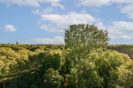 Insulindeweg 978 tertiary image