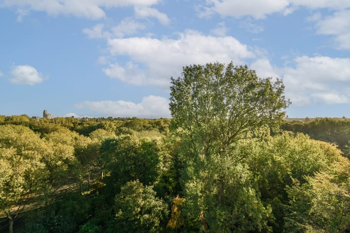 Foto 3 van Insulindeweg 978