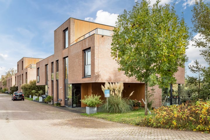 Foto 4 van Wetland 2