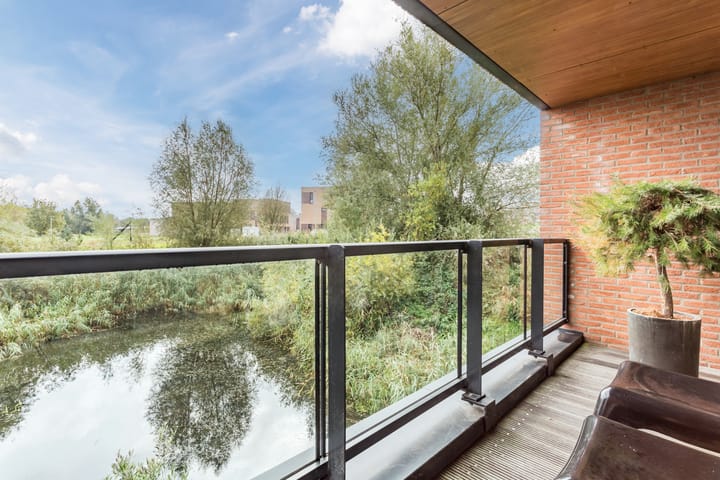 Foto 61 van Wetland 2