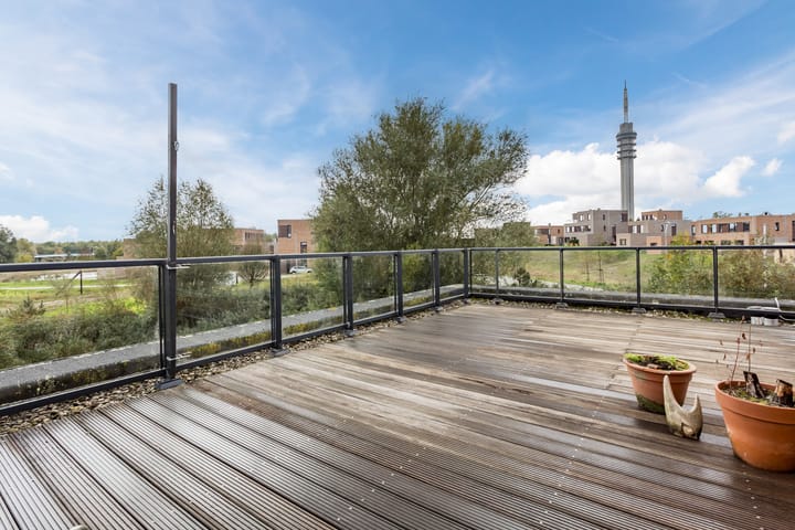 Foto 67 van Wetland 2