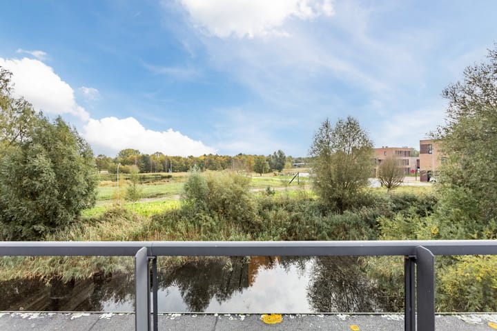 Foto 71 van Wetland 2