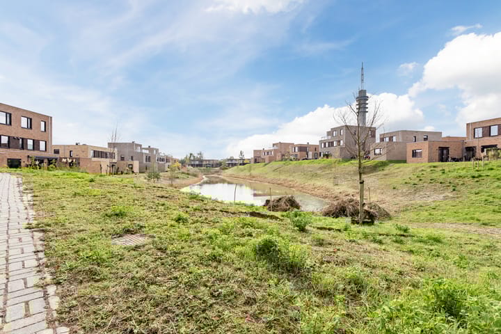 Foto 73 van Wetland 2